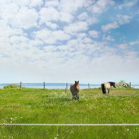 moderne FeWo Nr 4 mit Balkon, Sauna im Haus, Garten - Ferienwohnungen am Wald *